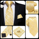 Coffret cadeau de cravates en soie pour hommes – | lasanderss.store