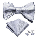 Cravate nœud papillon et pochette en soie pour hommes – | lasanderss.store