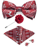 Ensemble Nœud Papillon Pré - Noué Broche Pochette Boutons - 4 Pièces Soie – Nœuds Papillon | lasanderss.store