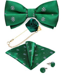 Ensemble Nœud Papillon Pré - Noué Broche Pochette Boutons - 4 Pièces Soie – Nœuds Papillon | lasanderss.store