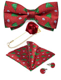 Ensemble Nœud Papillon Pré - Noué Broche Pochette Boutons - 4 Pièces Soie – Nœuds Papillon | lasanderss.store