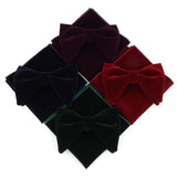 Grand nœud papillon et pochette en velours pour hommes – | lasanderss.store
