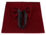 Grand nœud papillon et pochette en velours pour hommes – | lasanderss.store