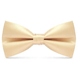 lasanderss.store Beige Nœud papillon Beige de luxe pour hommes