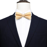 lasanderss.store Beige Nœud papillon Beige de luxe pour hommes