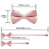 lasanderss.store Belle ensemble nœud papillon broche pochette bouton