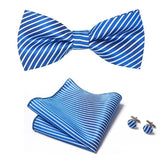 lasanderss.store Bleu/Ciel Cravate Pochette Nœud Papillon en soie