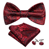 lasanderss.store Bordeaux Nœud papillon en soie pour homme