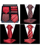 lasanderss.store Ensemble de cravates avec pochette