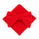 lasanderss.store Rose Gros nœud papillon Velours et pochette pour hommes