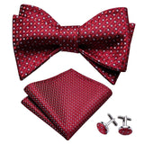 lasanderss.store Rouge Nœud papillon en soie pour homme