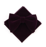 lasanderss.store Violet Grand nœud papillon et pochette en velours pour hommes
