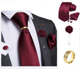 Cravate en Soie Pour Homme