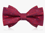 Nœud papillon bon chic homme – | lasanderss.store
