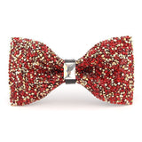Nœud papillon paillette – | lasanderss.store