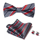 Nœud Papillon pochette assortie bouton de manchette – Vêtements et accessoires | lasanderss.store
