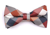 Nœud Papillon Polyester Rayé Homme - Réglable Mode Élégant – Nœuds Papillon | lasanderss.store