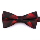 Nœud Papillon Polyester Rayé Homme - Réglable Mode Élégant – Nœuds Papillon | lasanderss.store