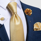 Un ensemble de Cravate en Soie Pour Homme – Accessoires | lasanderss.store